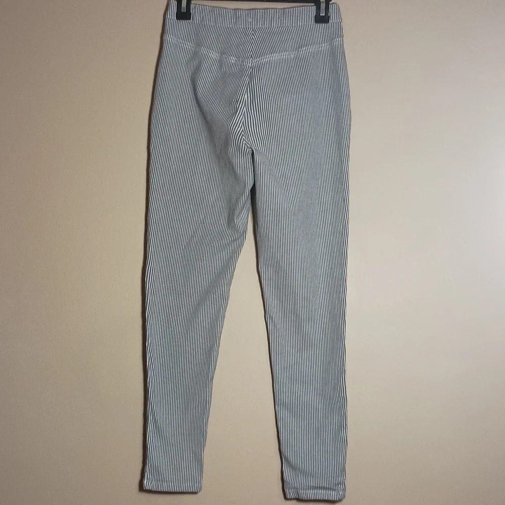 Free People Conductor Striped Ankle Skinny Jeans